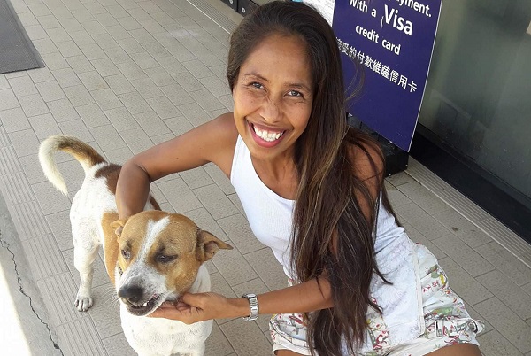 A stray dog